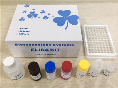 96T白介素-1RA（Human IL-1RA）试剂盒